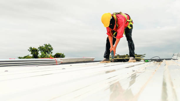 Best Roof Maintenance and Cleaning  in Stevenson Ranch, CA