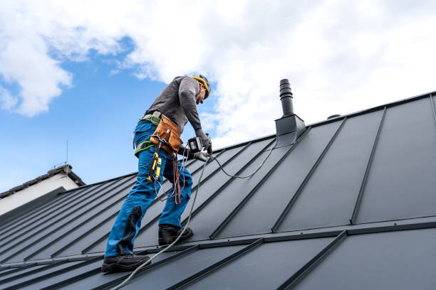 Best Steel Roofing  in Stevenson Ranch, CA